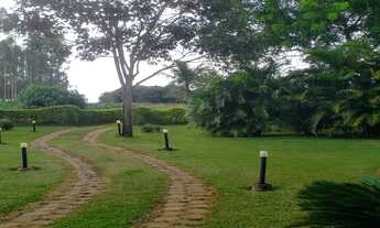 Imagem 7: CHACARA RURAL em FORMOSA - GO, DISTRITO FEDERAL