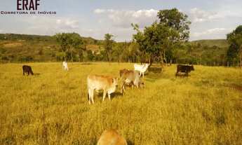 Imagem: CHACARA RURAL em FORMOSA - GO, FORMOSA