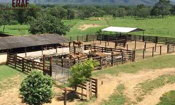 Imagem: FAZENDA RURAL em BURITIS - GO, BURITIS MG