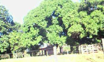 Imagem: FAZENDA RURAL em BEZERRA - GO, BEZERRA