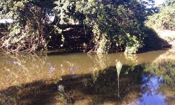 Imagem: FAZENDA RURAL em FLORES DE GOIÁS - GO