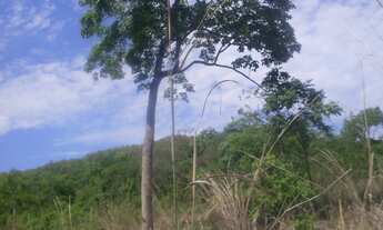 Imagem 2: FAZENDA RURAL em BURITIS - MG, CENTRO