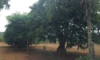 Imagem 3: CHÁCARA em Bezerra (Formosa) - GO, Próximo ao Bezerra