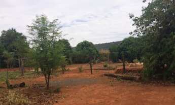 Imagem 4: CHÁCARA em Bezerra (Formosa) - GO, Próximo ao Bezerra
