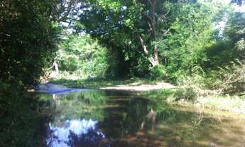 Imagem 7: CHACARA RURAL em BURITIS - MG, CENTRO