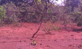 Imagem 4: CHACARA RURAL em BURITIS - MG, CENTRO