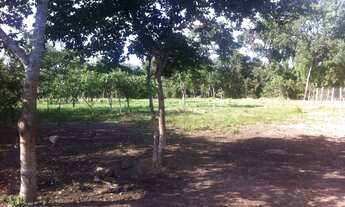 Imagem 6: CHACARA RURAL em FORMOSA - GO, CENTRO