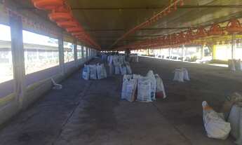 Imagem 2: CHACARA RURAL em FORMOSA - GO, CENTRO