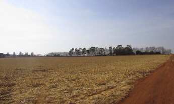 Imagem 2: CHACARA RURAL em Formosa - GO, PROJETO SANTA CRUZ