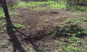 Imagem 3: FAZENDA RURAL em JK - GO, JK