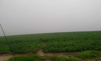 Imagem 5: FAZENDA RURAL em FORMOSA - GO, CENTRO