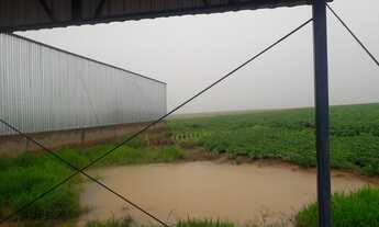 Imagem 6: FAZENDA RURAL em FORMOSA - GO, CENTRO