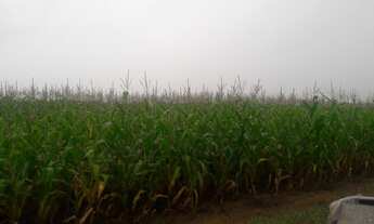 Imagem: FAZENDA RURAL em FORMOSA - GO, CENTRO