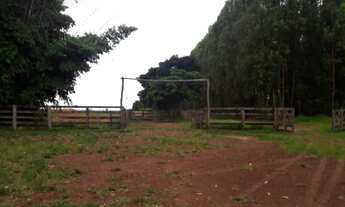 Imagem: FAZENDA RURAL em FORMOSO - GO, SETOR CENTRAL