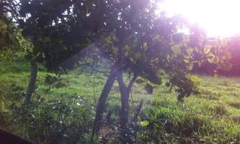 Imagem 4: CHÁCARA em Cabeceiras - GO, Cabeceiras