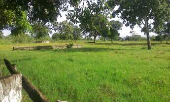 Imagem 5: FAZENDA RURAL em PARANÃ - TO, SETOR CENTRAL