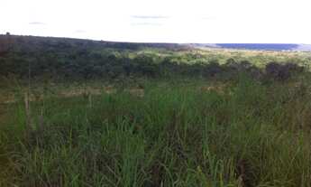 Imagem: CHACARA RURAL em Formosa - GO, Barreiro