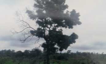 Imagem 4: CHÁCARA em Formosa - GO, Bezerra