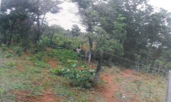 Imagem 5: CHÁCARA em Formosa - GO, Bezerra