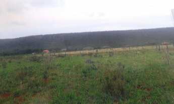 Imagem: CHÁCARA em Formosa - GO, Bezerra