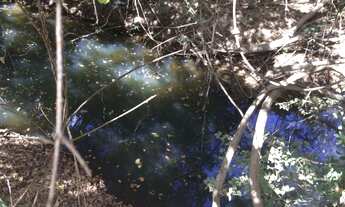 Imagem 2: CHACARA RURAL em FORMOSA - GO, CENTRO