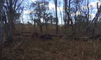 Imagem 3: CHACARA RURAL em FORMOSA - GO, CENTRO