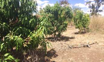 Imagem 4: CHACARA RURAL em FORMOSA - GO, CENTRO