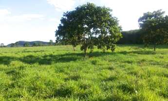 Imagem: FAZENDA RURAL em UBAÍ - MG, CENTRO