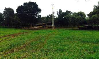 Imagem: CHACARA RURAL em FORMOSA - GO, CENTRO