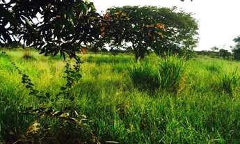 Imagem 3: CHACARA RURAL em PLANALTINA - GO, SETOR OESTE