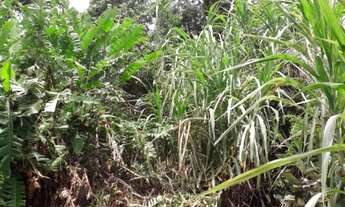 Imagem 2: Terrenos Barra Velha/Ilhabela com vista para o mar