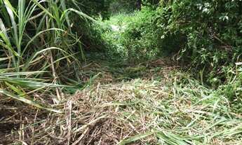 Imagem 4: Terrenos Barra Velha/Ilhabela com vista para o mar
