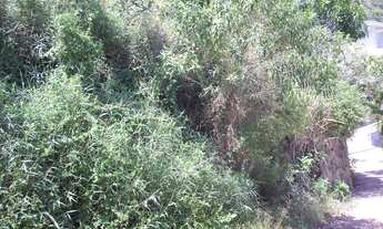 Imagem 3: Terreno com vista para o mar