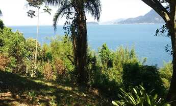 Imagem 2: TERRENO RESIDENCIAL em Ilhabela - SP, Cambarau