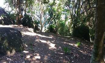 Imagem 7: TERRENO RESIDENCIAL em Ilhabela - SP, Cambarau