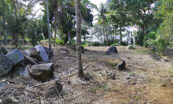 Imagem 4: TERRENO RESIDENCIAL em Ilhabela - SP, Pacoiba