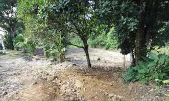 Imagem 5: TERRENO RESIDENCIAL em Ilhabela - SP, Pacoiba