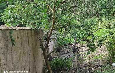 Imagem 3: TERRENO RESIDENCIAL em Ilhabela - SP, Siriuba I