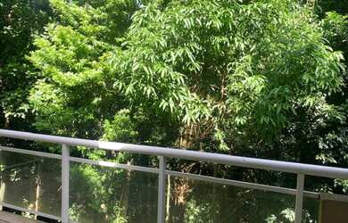 Imagem 5: CASA RESIDENCIAL em Ilhabela - SP, Cambarau