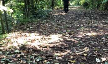 Imagem 4: TERRENO RESIDENCIAL em Ubatuba - SP, Domingas Dias