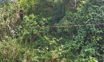 Imagem 4: TERRENO RESIDENCIAL em ILHABELA - SP, AGUA BRANCA