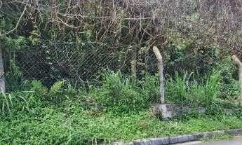 Imagem 2: TERRENO RESIDENCIAL em ILHABELA - SP, AGUA BRANCA