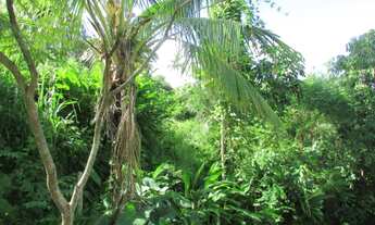 Imagem: Terreno Siriuba II