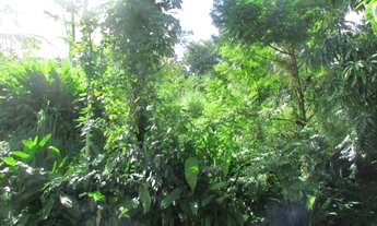 Imagem 7: Terreno Siriuba II