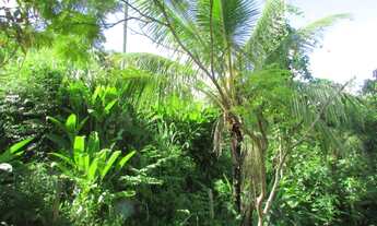 Imagem 3: Terreno Siriuba II