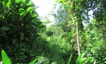 Imagem 5: Terreno Siriuba II