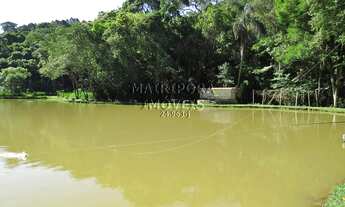 Imagem: COMPRE UM SÍTIO E GANHE UM PESQUEIRO