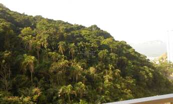 Imagem 3: Excelente 3 dormitórios com 2 vagas