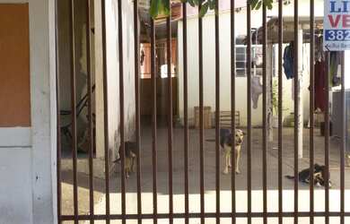 Imagem 5: 5 dormitórios, 1 vaga na garagem