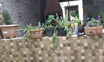 Imagem 4: 3 dormitórios, 1 banheiros, 1 vaga na garagem